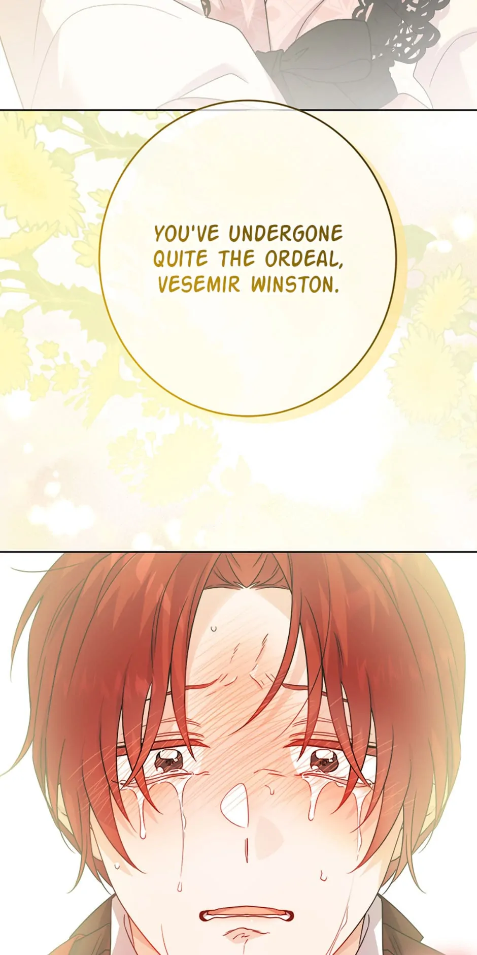The Male Lead Is in Charge of the Successor Chapter 25 - Page 27