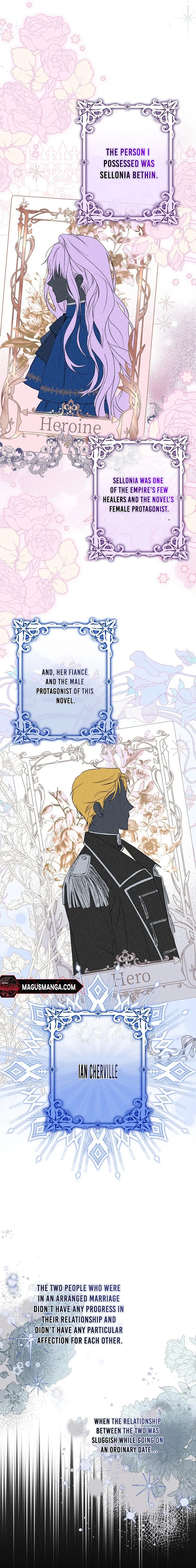 The Male Leads Were Stolen by the Extra Chapter 1 - Page 4