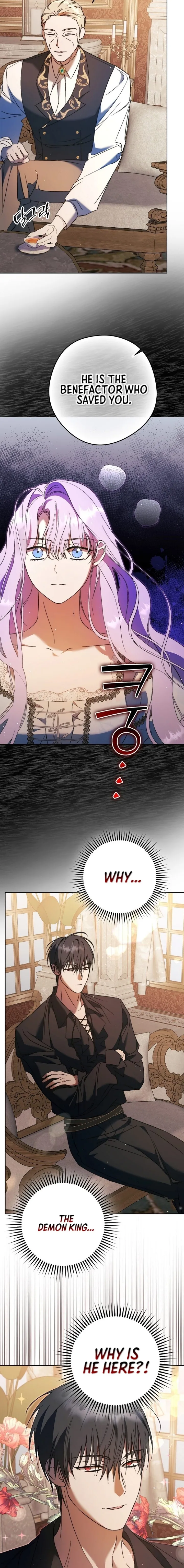 The Male Leads Were Stolen by the Extra Chapter 11 - Page 13