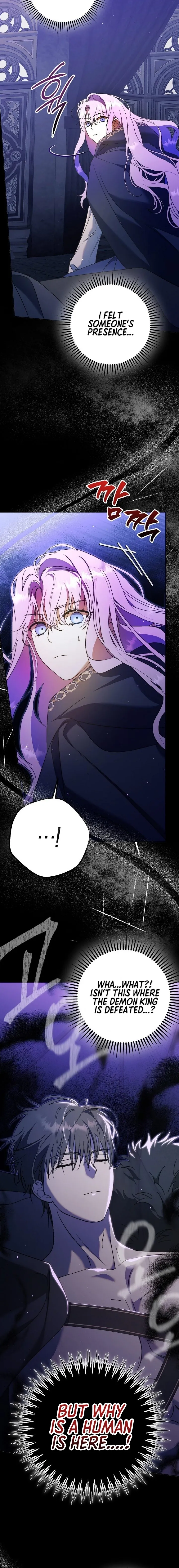 The Male Leads Were Stolen by the Extra Chapter 11 - Page 5