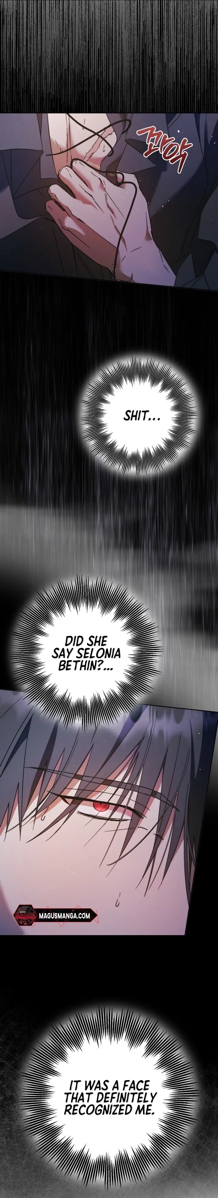 The Male Leads Were Stolen by the Extra Chapter 13 - Page 16