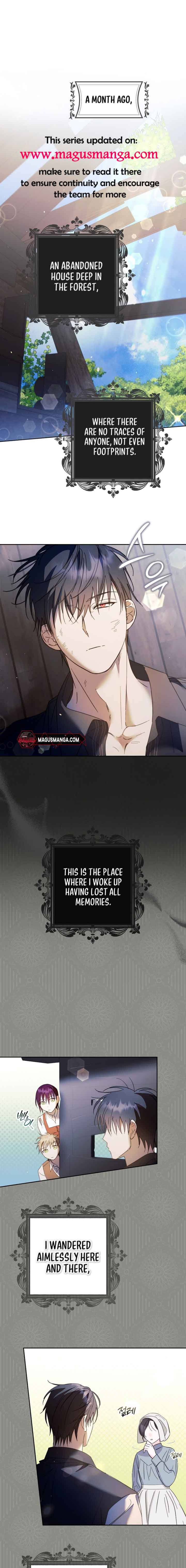 The Male Leads Were Stolen by the Extra Chapter 17 - Page 0