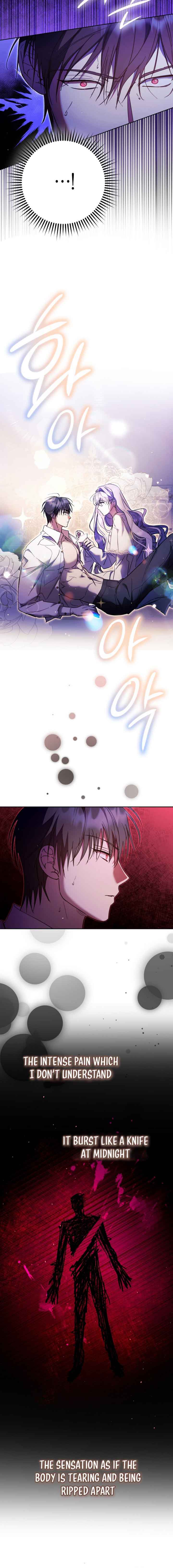 The Male Leads Were Stolen by the Extra Chapter 17 - Page 11