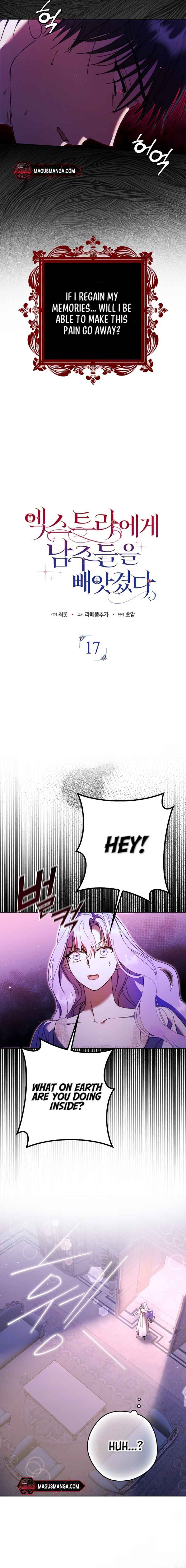 The Male Leads Were Stolen by the Extra Chapter 17 - Page 3