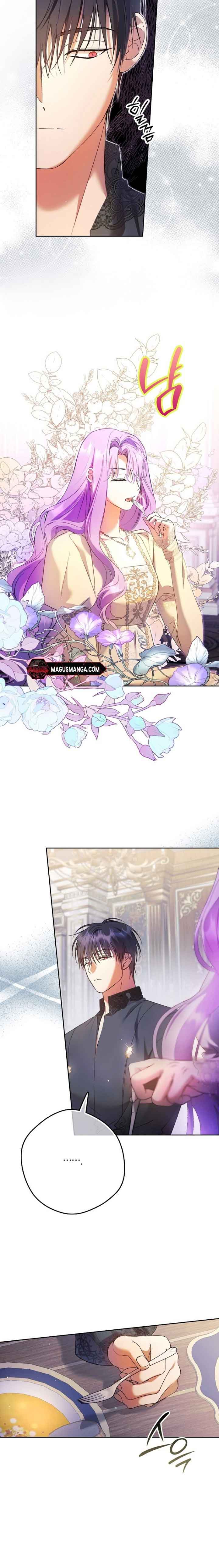 The Male Leads Were Stolen by the Extra Chapter 19 - Page 12