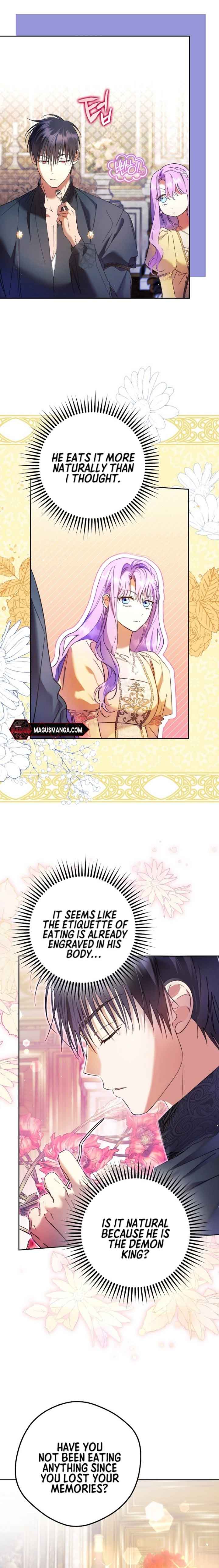 The Male Leads Were Stolen by the Extra Chapter 19 - Page 13