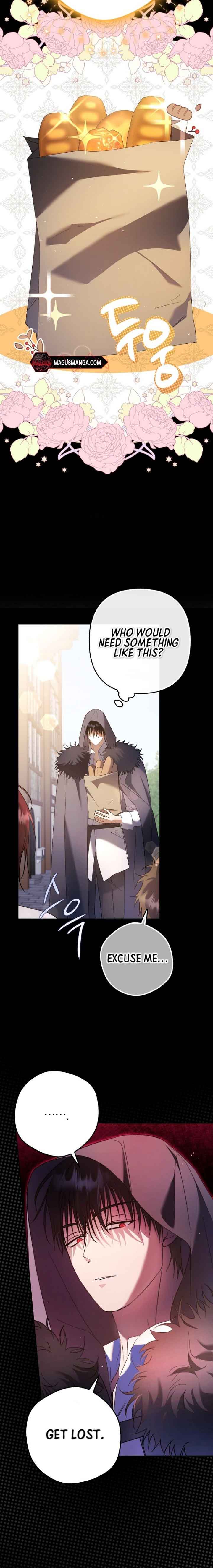 The Male Leads Were Stolen by the Extra Chapter 19 - Page 7