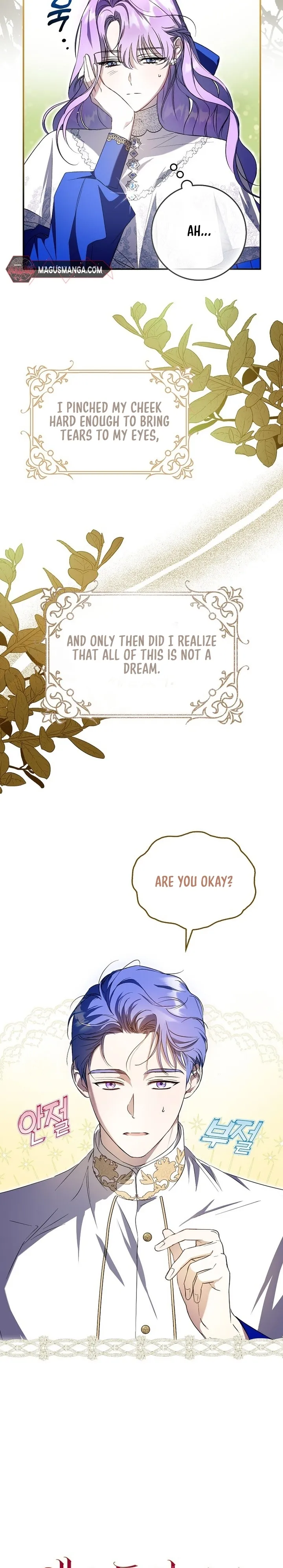 The Male Leads Were Stolen by the Extra Chapter 2 - Page 2