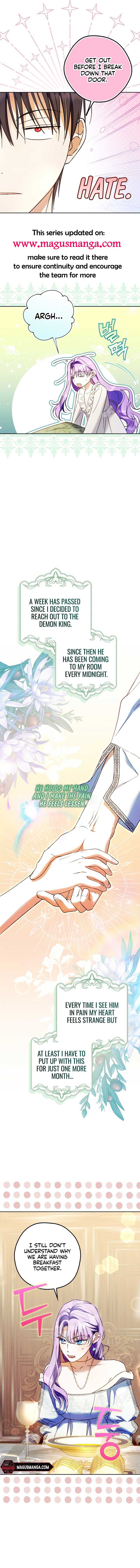 The Male Leads Were Stolen by the Extra Chapter 21 - Page 1
