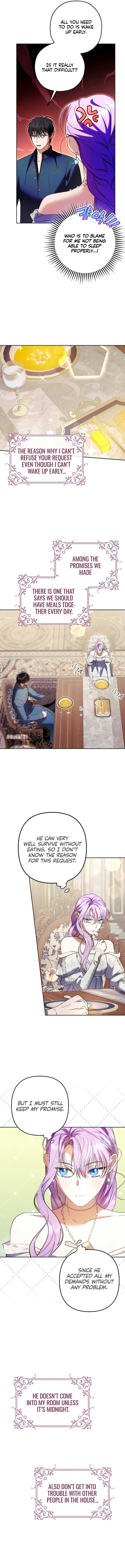 The Male Leads Were Stolen by the Extra Chapter 21 - Page 2