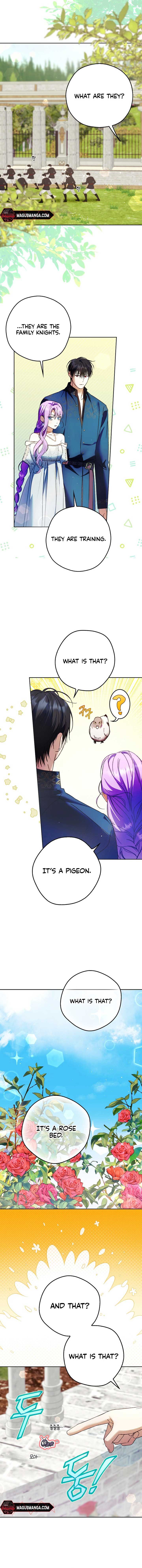 The Male Leads Were Stolen by the Extra Chapter 21 - Page 4