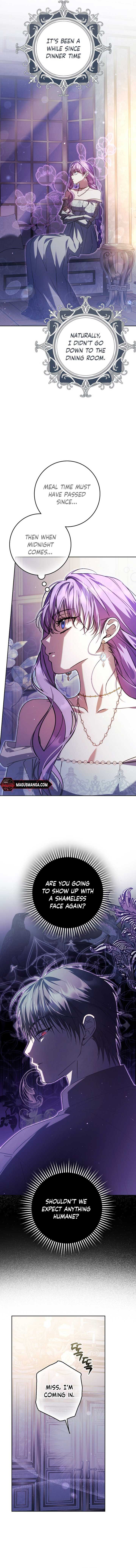The Male Leads Were Stolen by the Extra Chapter 22 - Page 7