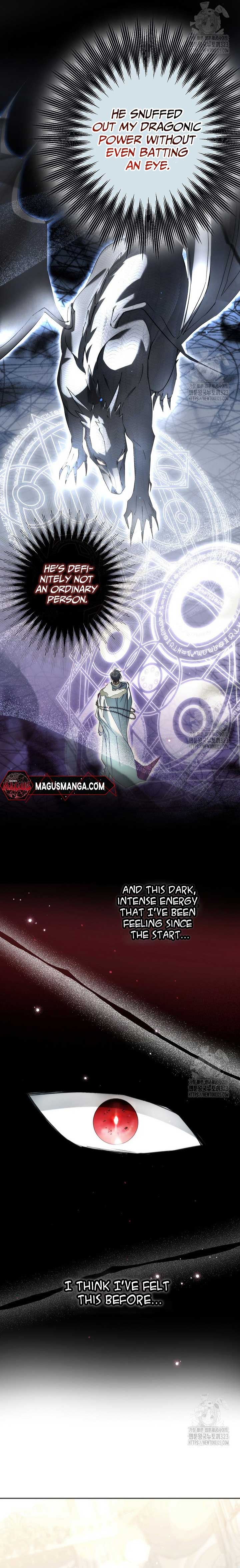 The Male Leads Were Stolen by the Extra Chapter 27 - Page 10