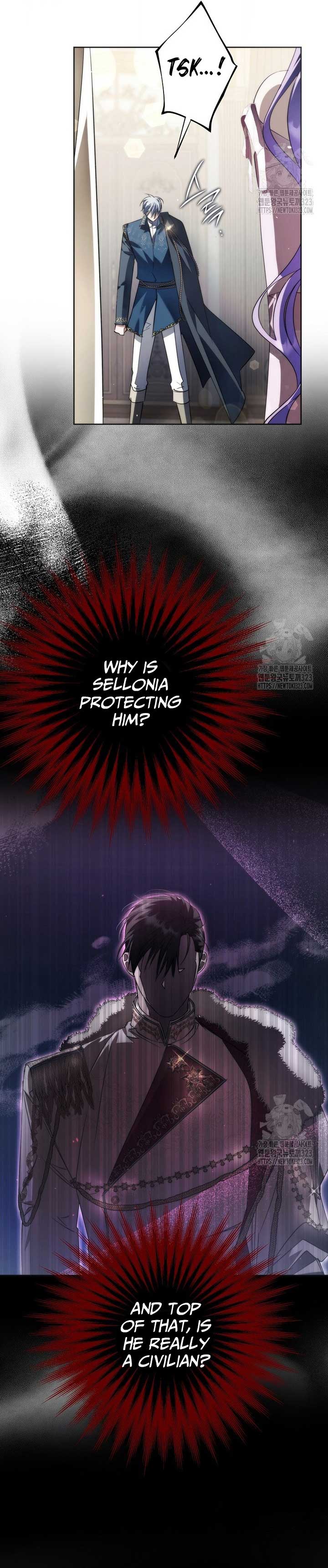 The Male Leads Were Stolen by the Extra Chapter 27 - Page 9