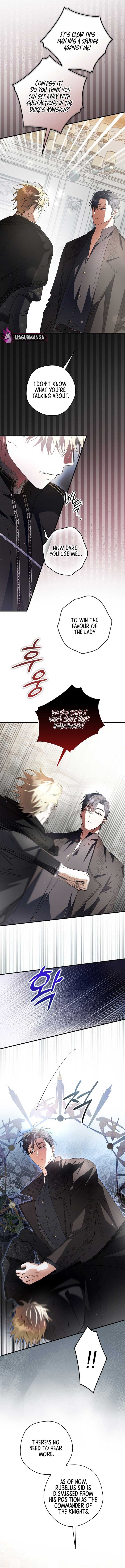 The Male Leads Were Stolen by the Extra Chapter 35 - Page 13