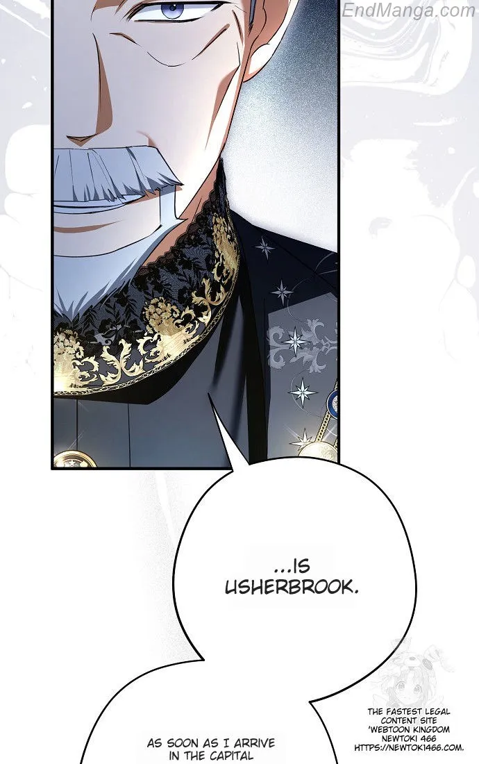 The Male Leads Were Stolen by the Extra Chapter 41 - Page 31