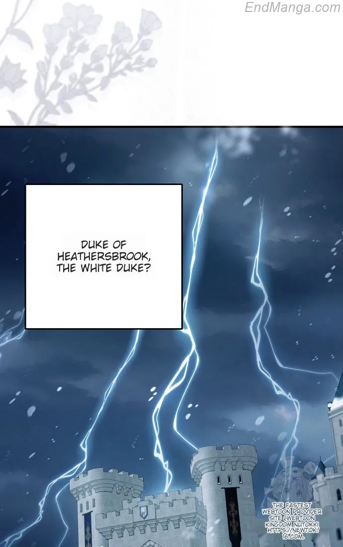 The Male Leads Were Stolen by the Extra Chapter 41 - Page 35