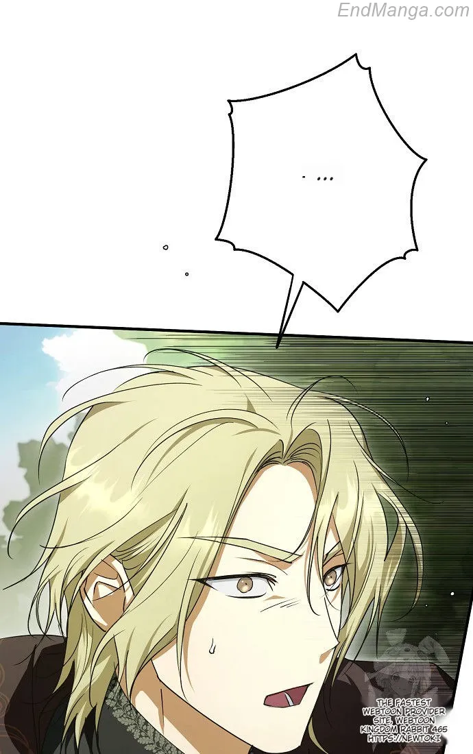 The Male Leads Were Stolen by the Extra Chapter 41 - Page 42