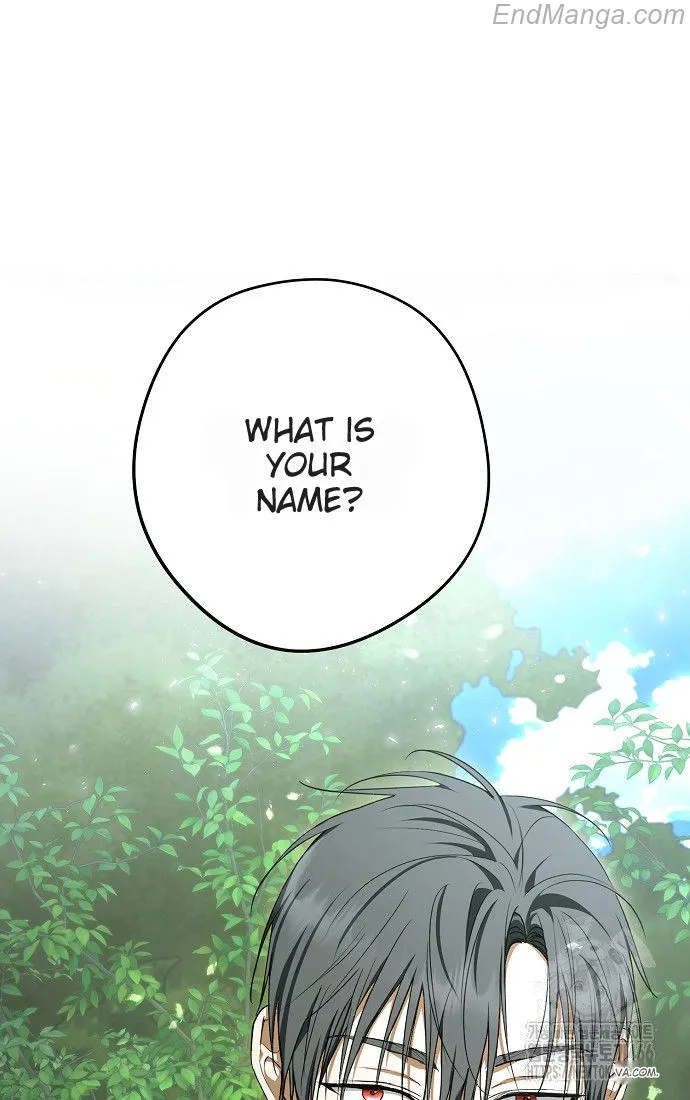 The Male Leads Were Stolen by the Extra Chapter 41 - Page 45