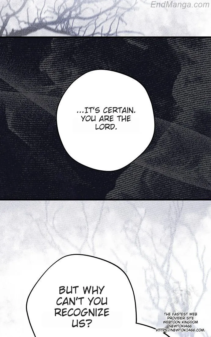 The Male Leads Were Stolen by the Extra Chapter 41 - Page 71