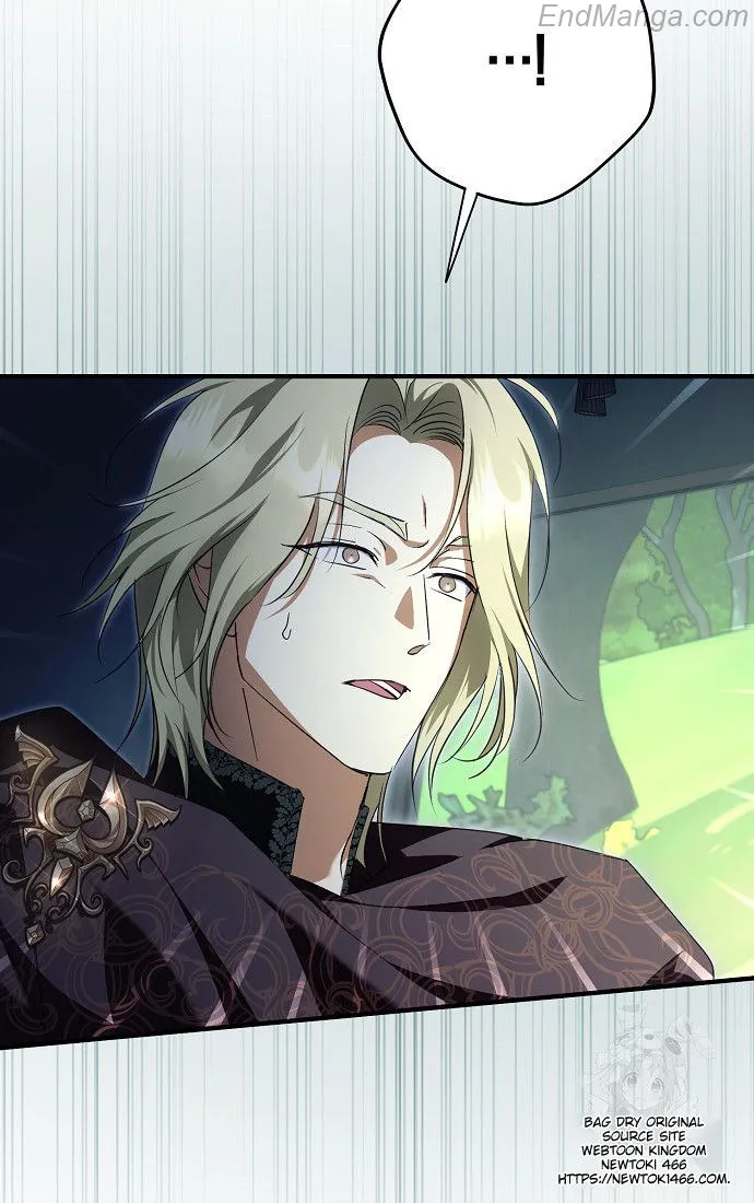 The Male Leads Were Stolen by the Extra Chapter 41 - Page 84