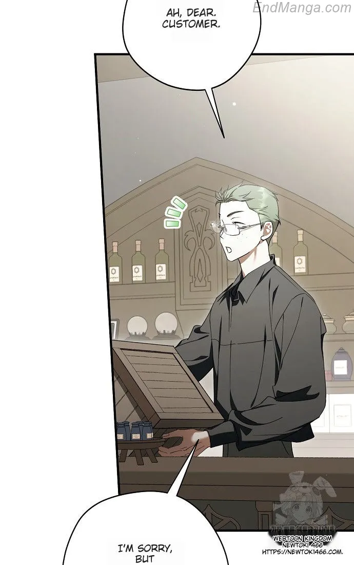The Male Leads Were Stolen by the Extra Chapter 41 - Page 95