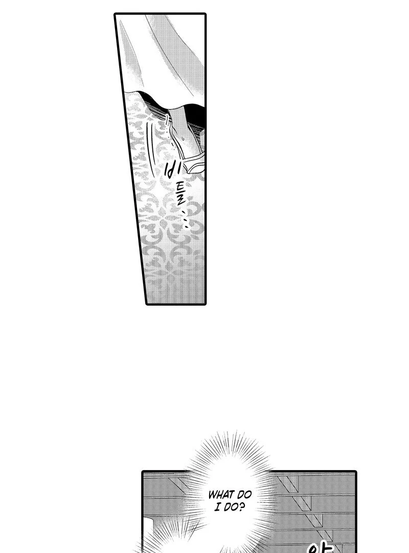The Merciless Emperor’s Pet Consort Chapter 10 - Page 37