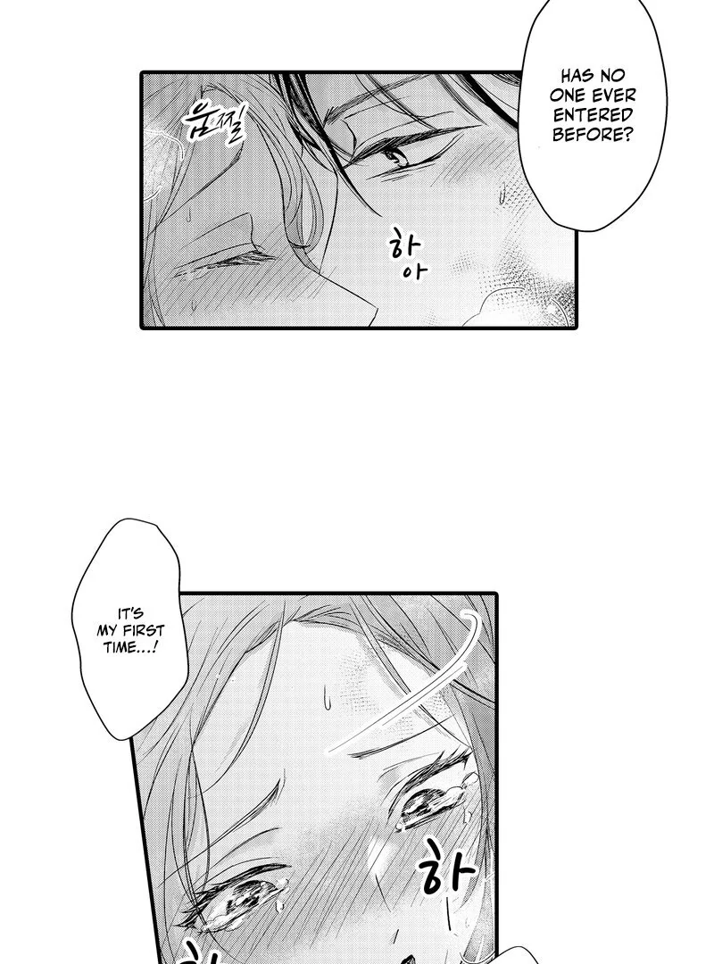 The Merciless Emperor’s Pet Consort Chapter 3 - Page 19
