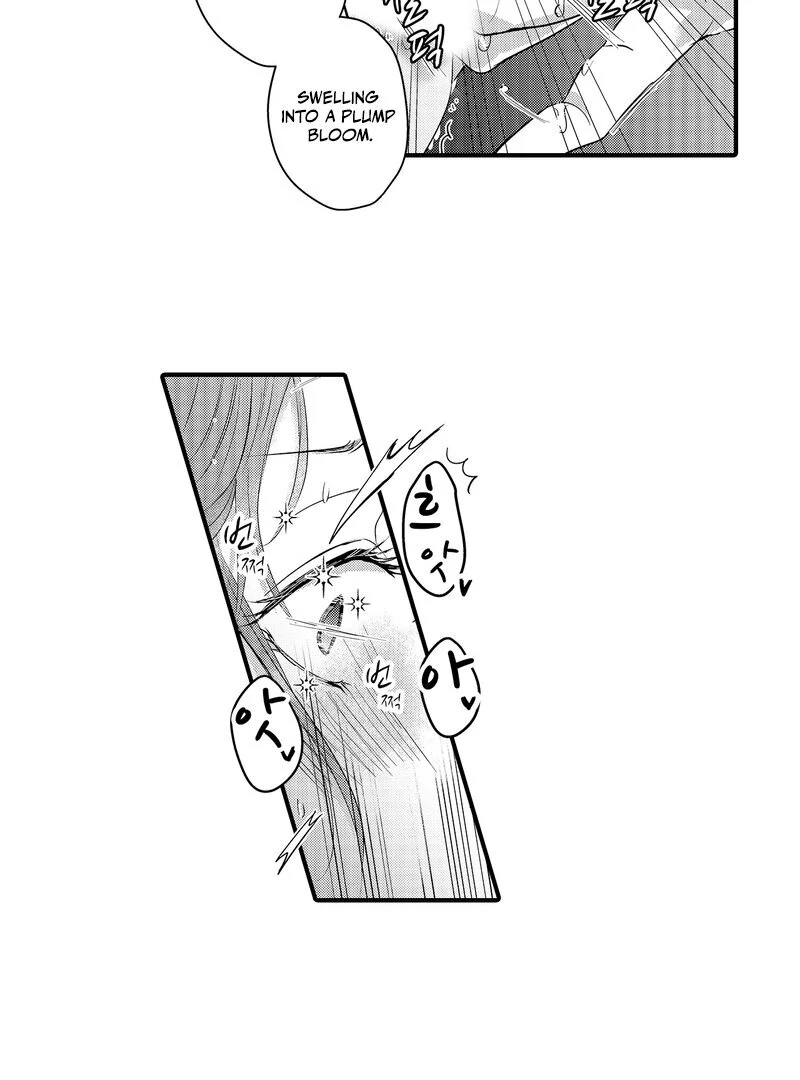 The Merciless Emperor’s Pet Consort Chapter 3 - Page 22
