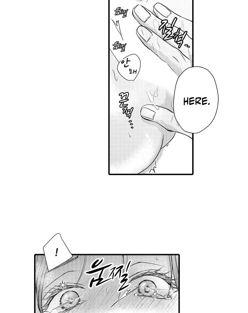 The Merciless Emperor’s Pet Consort Chapter 3 - Page 25
