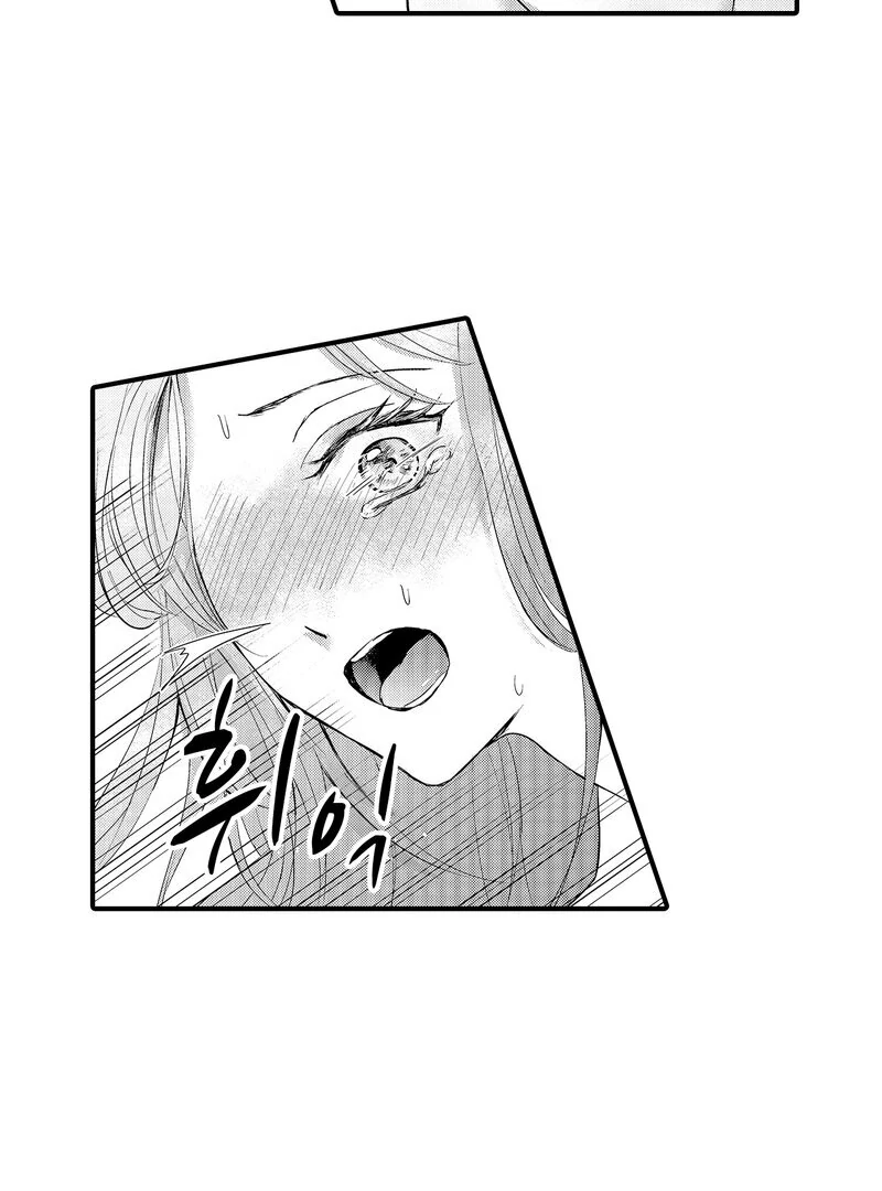 The Merciless Emperor’s Pet Consort Chapter 3 - Page 35