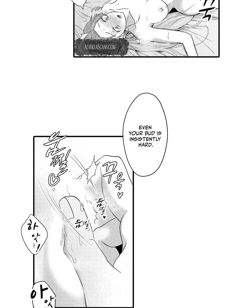 The Merciless Emperor’s Pet Consort Chapter 4 - Page 12
