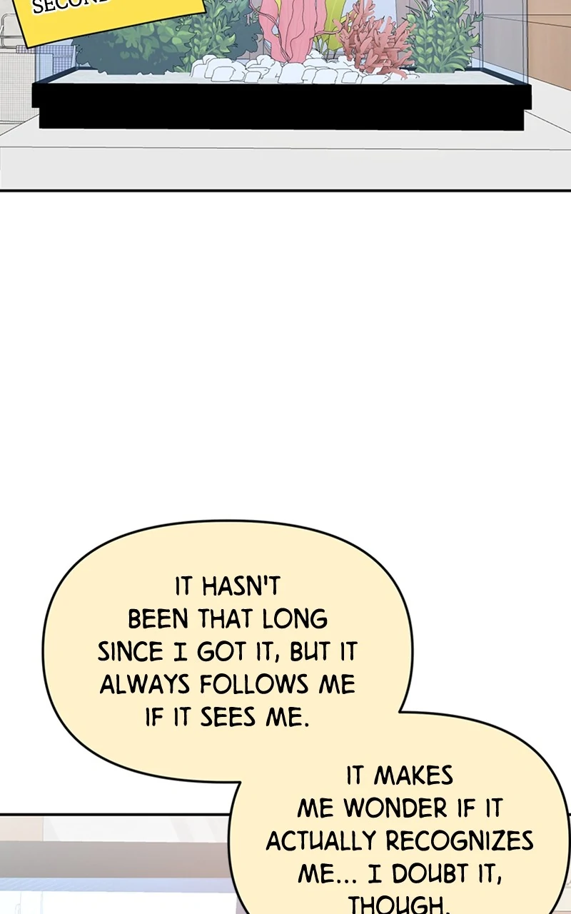 The Mermaid I Loved Chapter 25 - Page 19