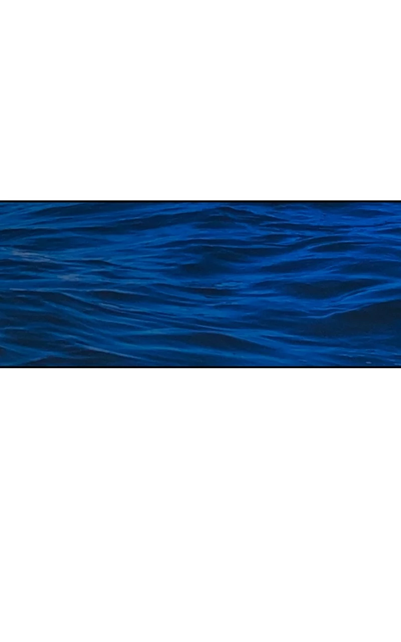 The Mermaid I Loved Chapter 42 - Page 84