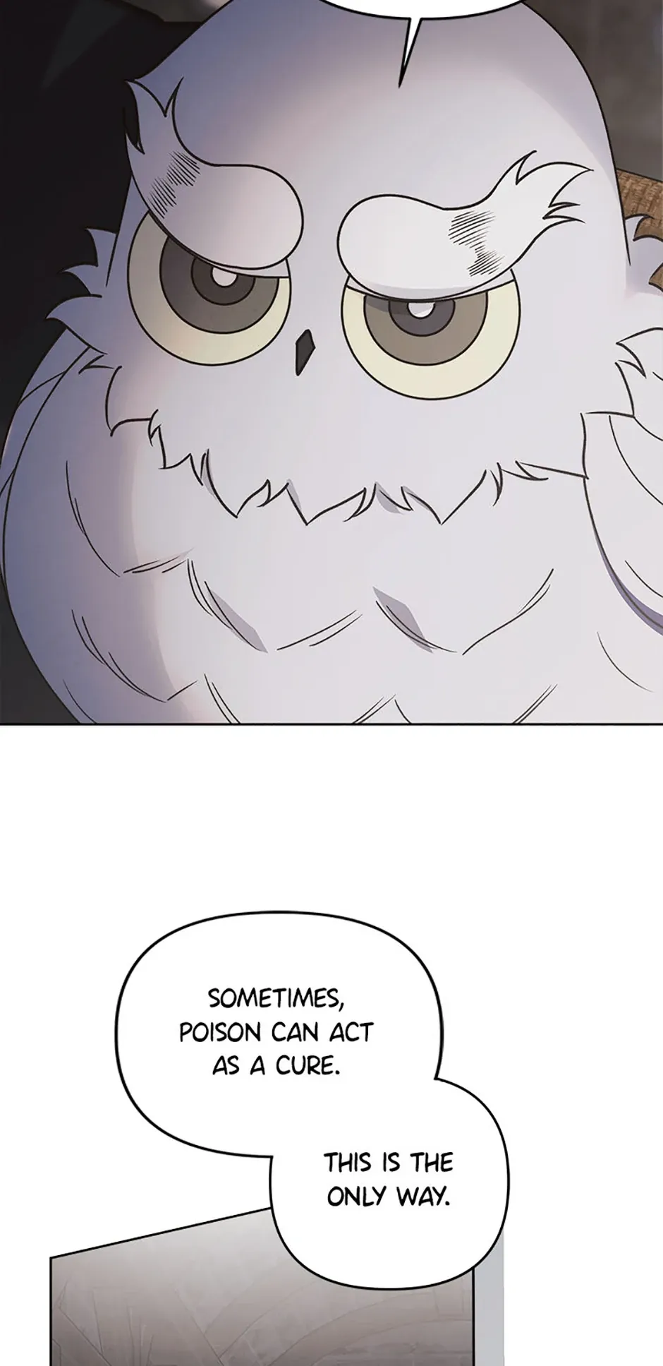 The Monster Duke Mistook Me for His Wife Chapter 32 - Page 22