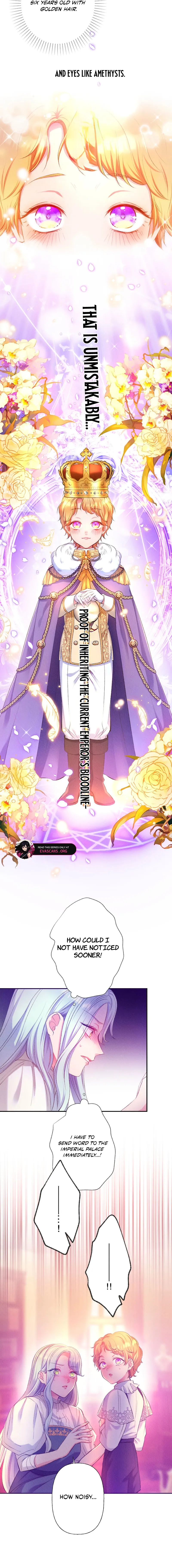 The Neglected Noble Lady Became the Beloved Caretaker of the Imperial Family Chapter 3 - Page 16