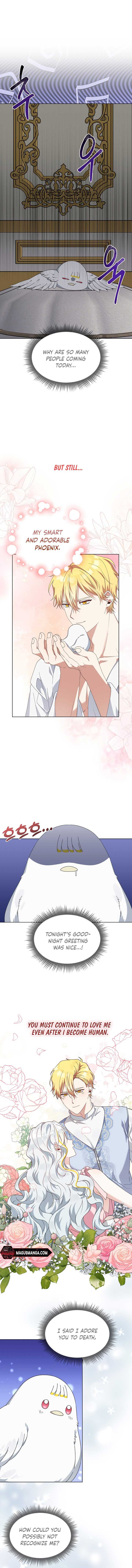 The New Empress Chapter 14 - Page 4