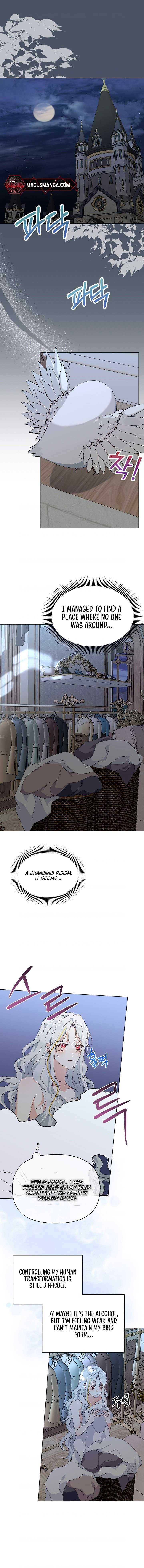 The New Empress Chapter 17 - Page 0