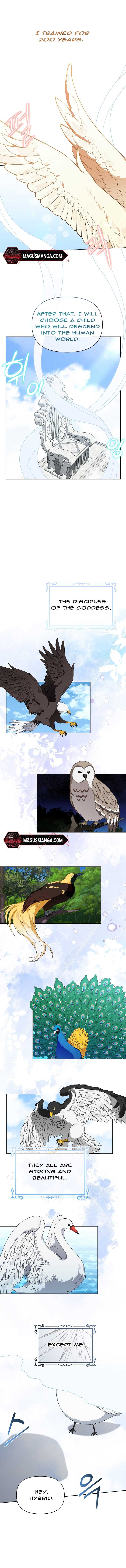 The New Empress Chapter 2 - Page 1
