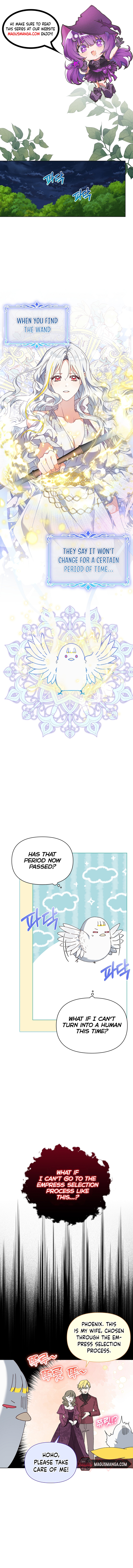 The New Empress Chapter 27 - Page 0