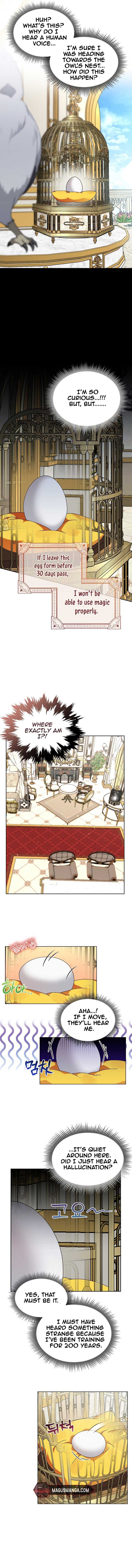 The New Empress Chapter 3 - Page 1
