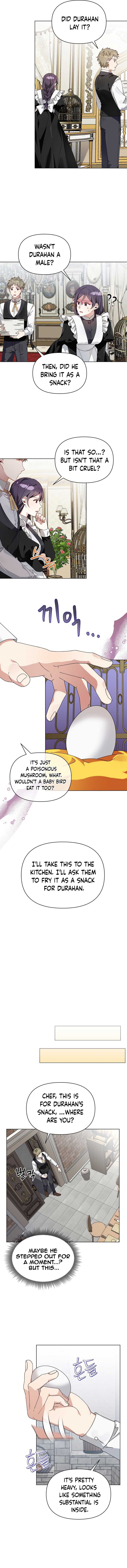 The New Empress Chapter 3 - Page 3