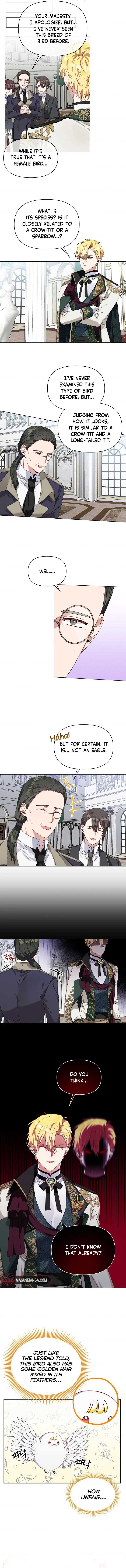 The New Empress Chapter 5 - Page 9