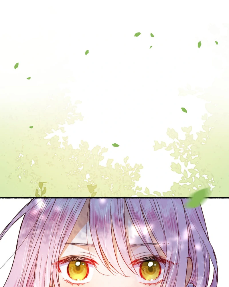 The New Mage, Orthria Chapter 2 - Page 82