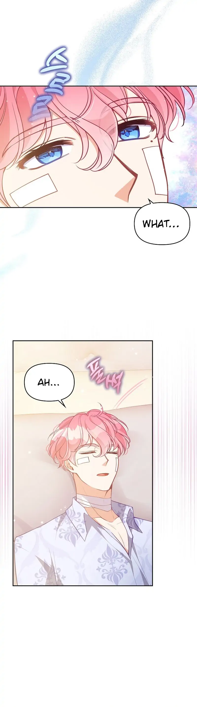 The Precious Sister of the Villainous Grand Duke Chapter 90 - Page 15