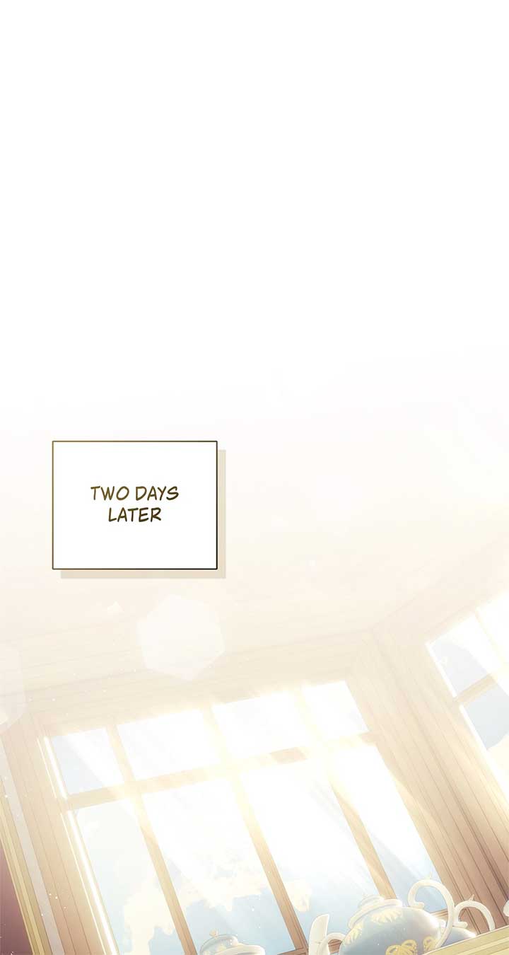 The Princess in the Henhouse Chapter 10 - Page 25
