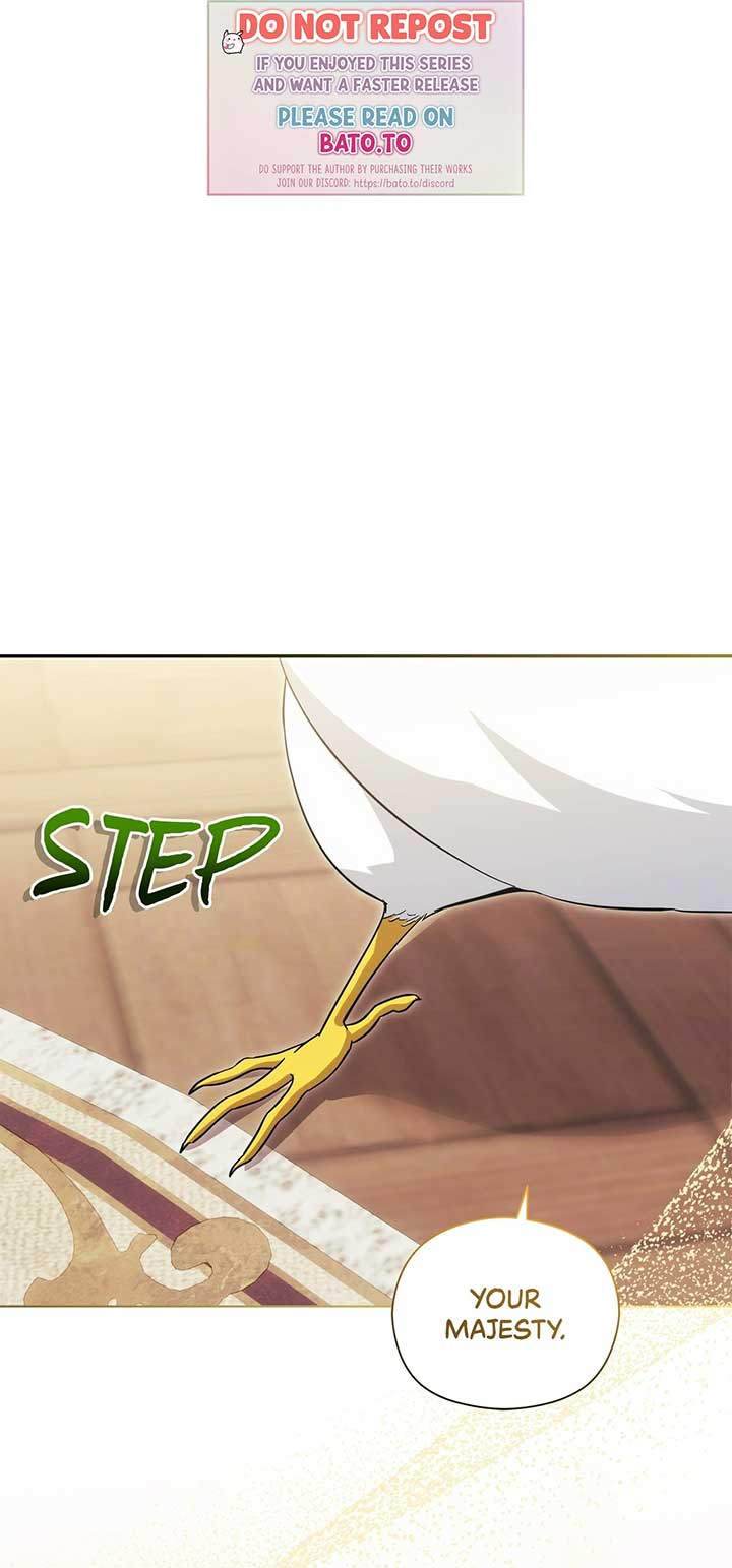 The Princess in the Henhouse Chapter 11 - Page 0