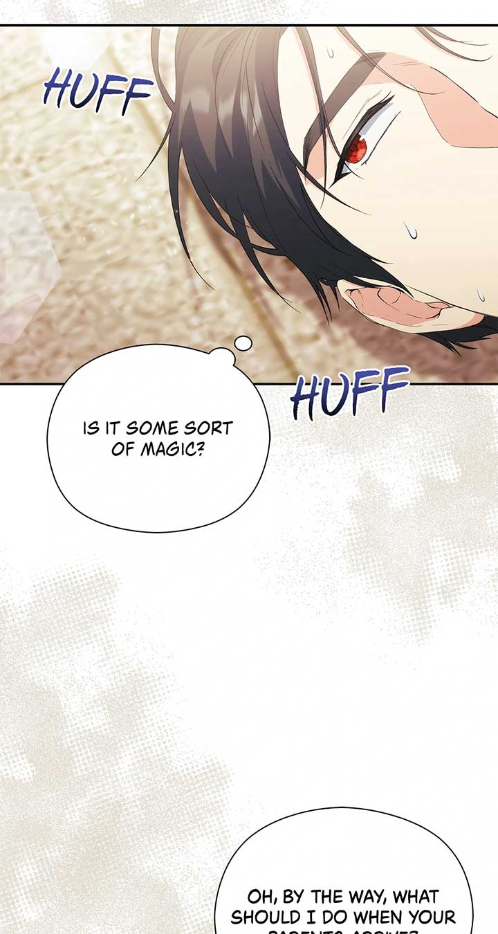The Princess in the Henhouse Chapter 21 - Page 28