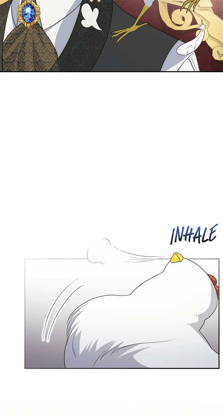 The Princess in the Henhouse Chapter 22 - Page 61