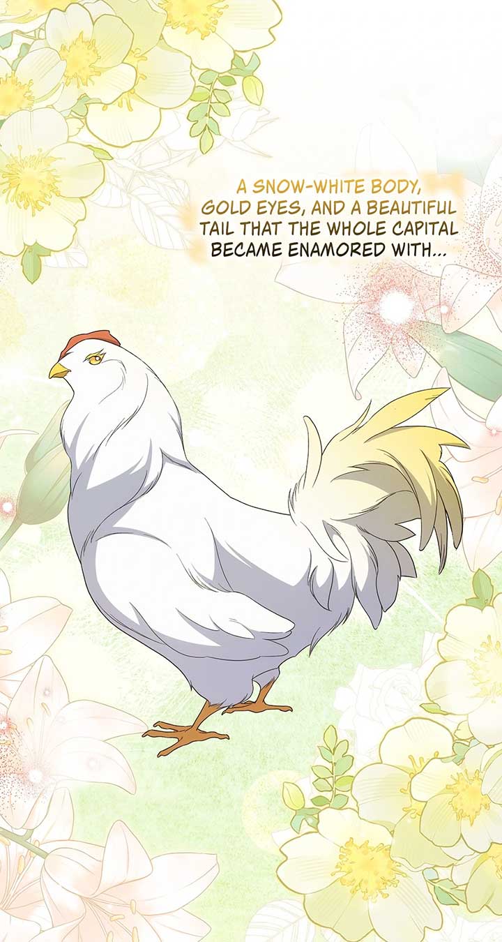 The Princess in the Henhouse Chapter 35 - Page 70